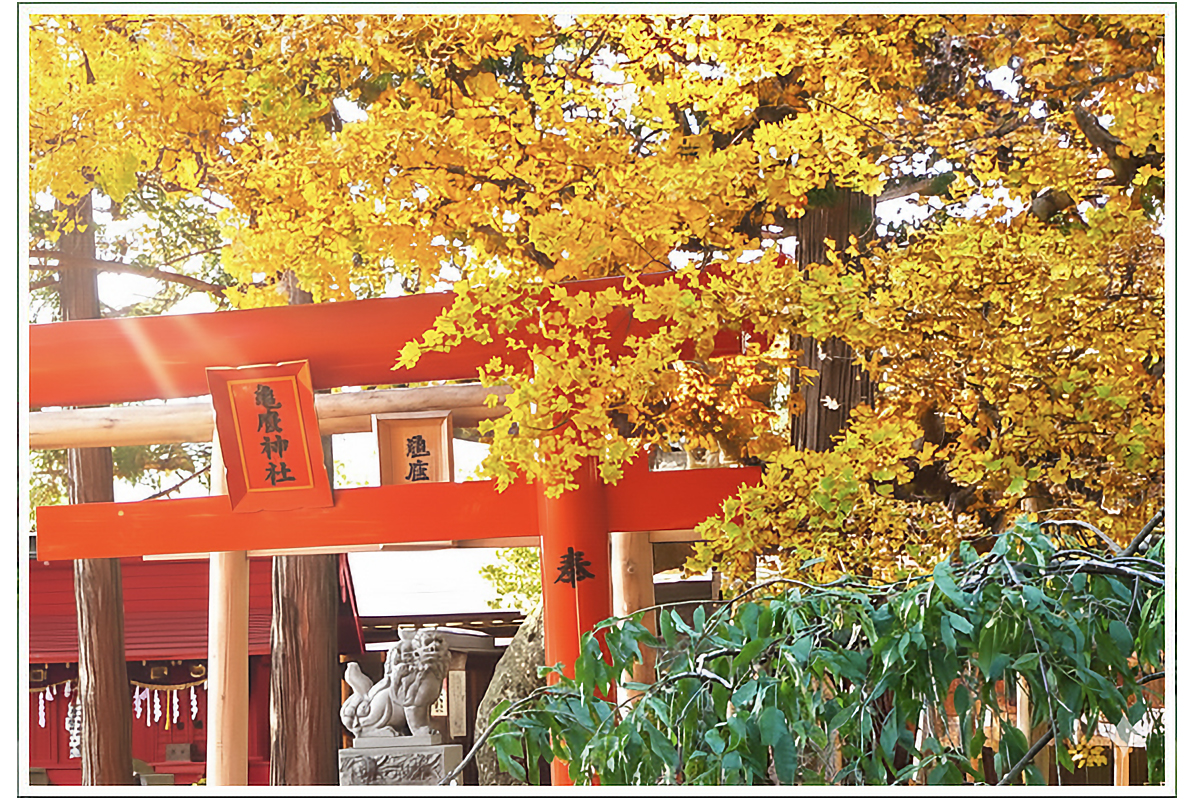 岩手県二戸市 緑風荘内にある亀麿神社